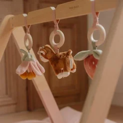 Little Dutch Babygym - Pink - Fairy Garden New
