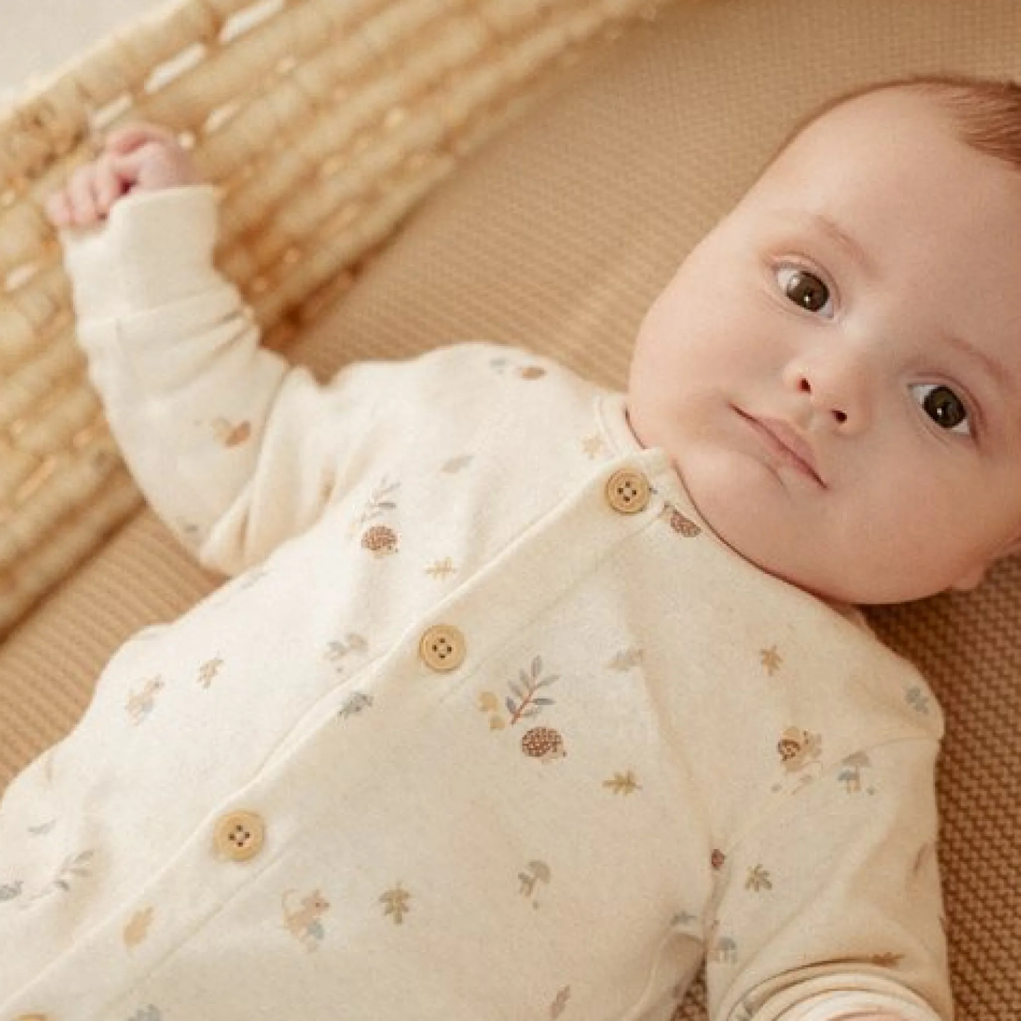 Little Dutch Box suit - Sand - Forest Friends