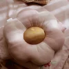 Little Dutch Cushion flower - Pink - Fairy Garden Sale