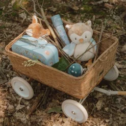 Little Dutch Forest Friends - Blue - Forest Friends Discount