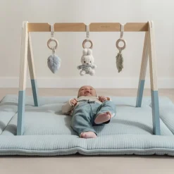 Little Dutch miffy baby gym - Blue - Lucky Leaves Outlet