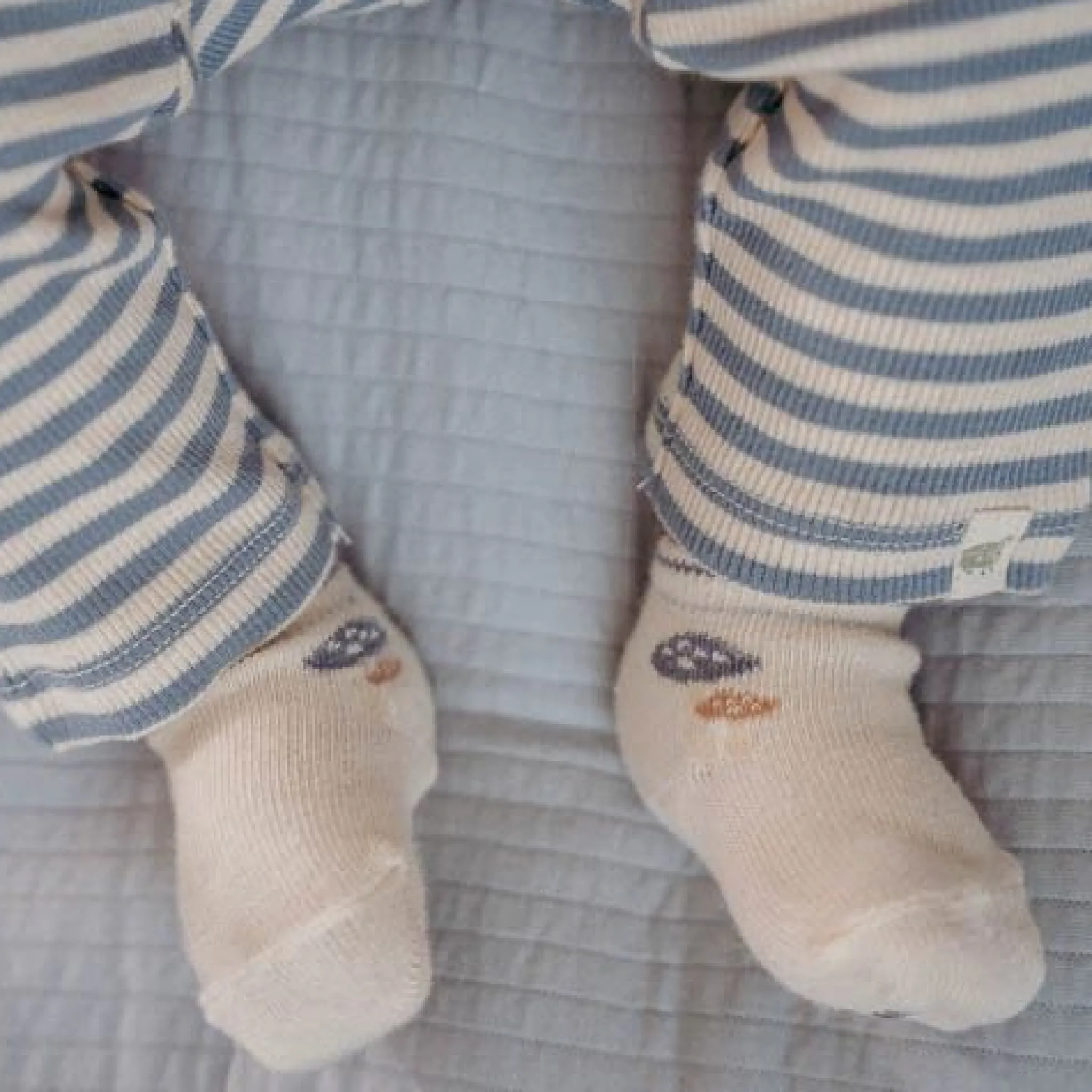Little Dutch Pants - Blue - Forest Friends - Stripe New