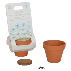 Little Dutch Plant Pot - Forget-me-not Best