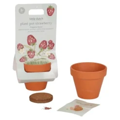 Little Dutch Plant pot - Strawberry Outlet