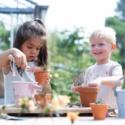 Little Dutch Plant pot - Strawberry Outlet