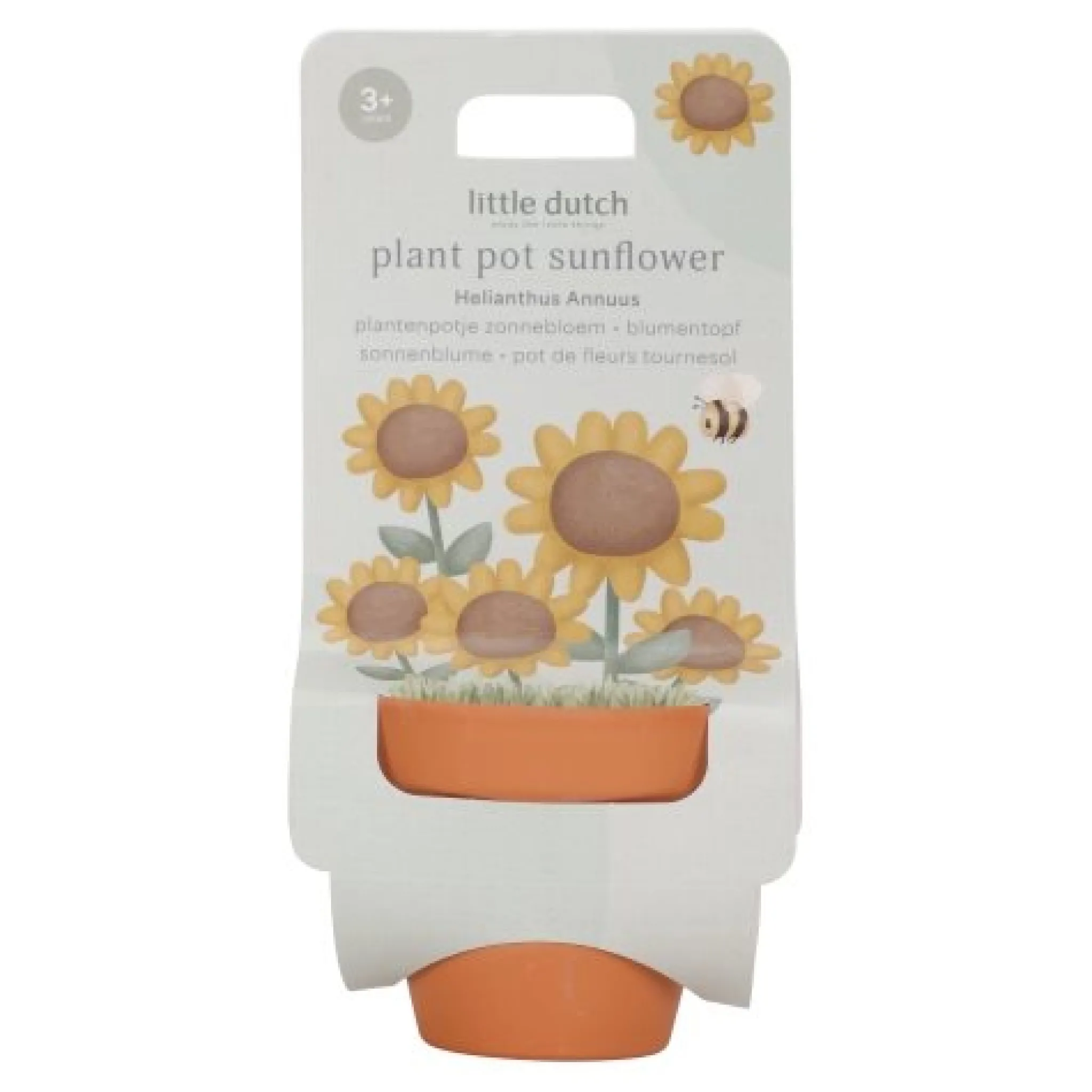 Little Dutch Plant pot - Sunflower Clearance