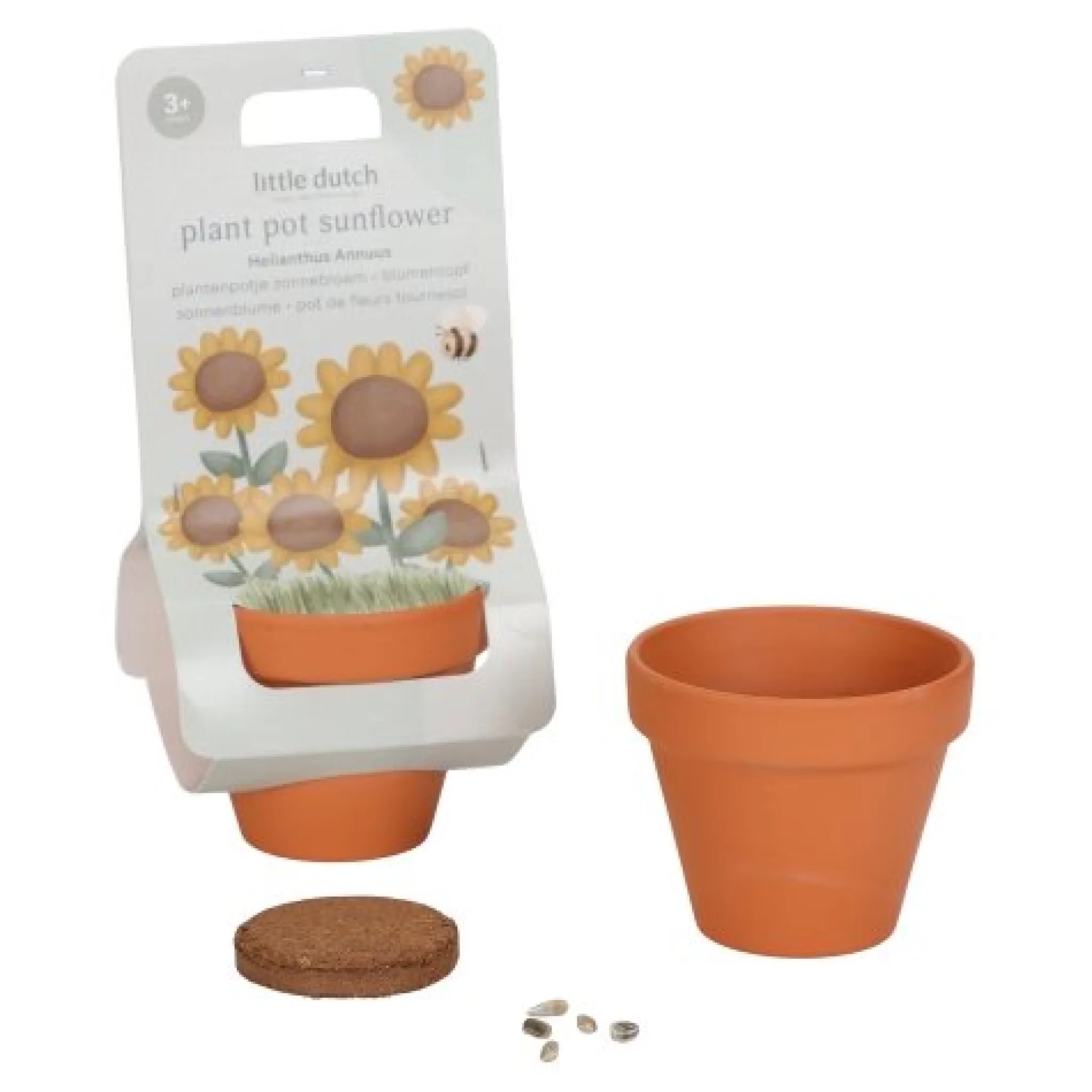 Little Dutch Plant pot - Sunflower Clearance